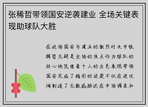 张稀哲带领国安逆袭建业 全场关键表现助球队大胜