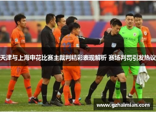 天津与上海申花比赛主裁判精彩表现解析 赛场判罚引发热议