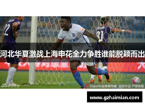 河北华夏激战上海申花全力争胜谁能脱颖而出