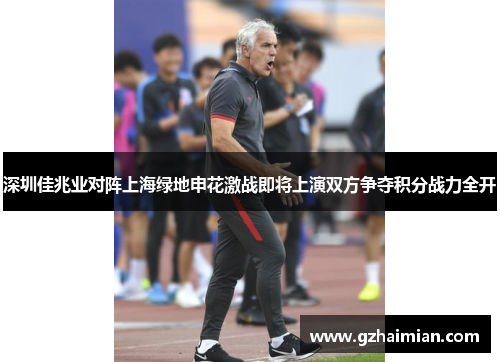 深圳佳兆业对阵上海绿地申花激战即将上演双方争夺积分战力全开