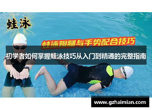 初学者如何掌握蛙泳技巧从入门到精通的完整指南